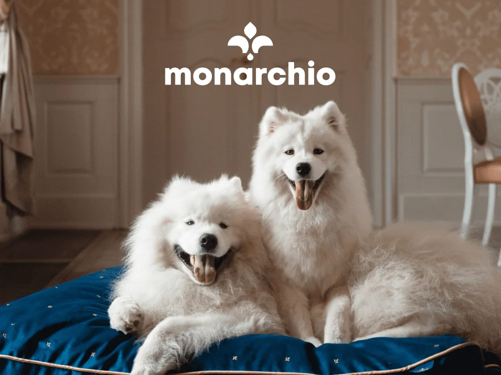 monarchio.webp
