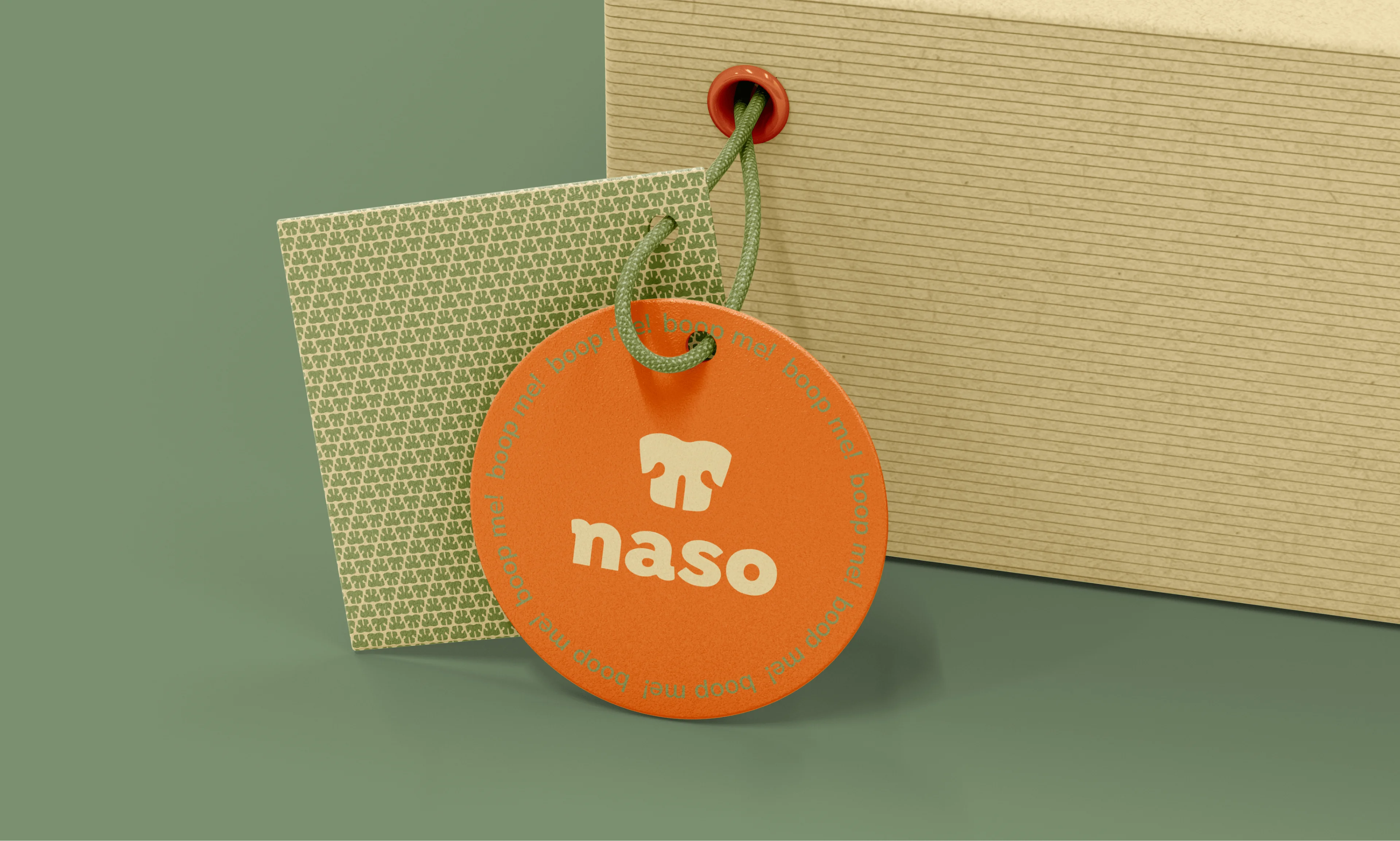 naso_1.webp