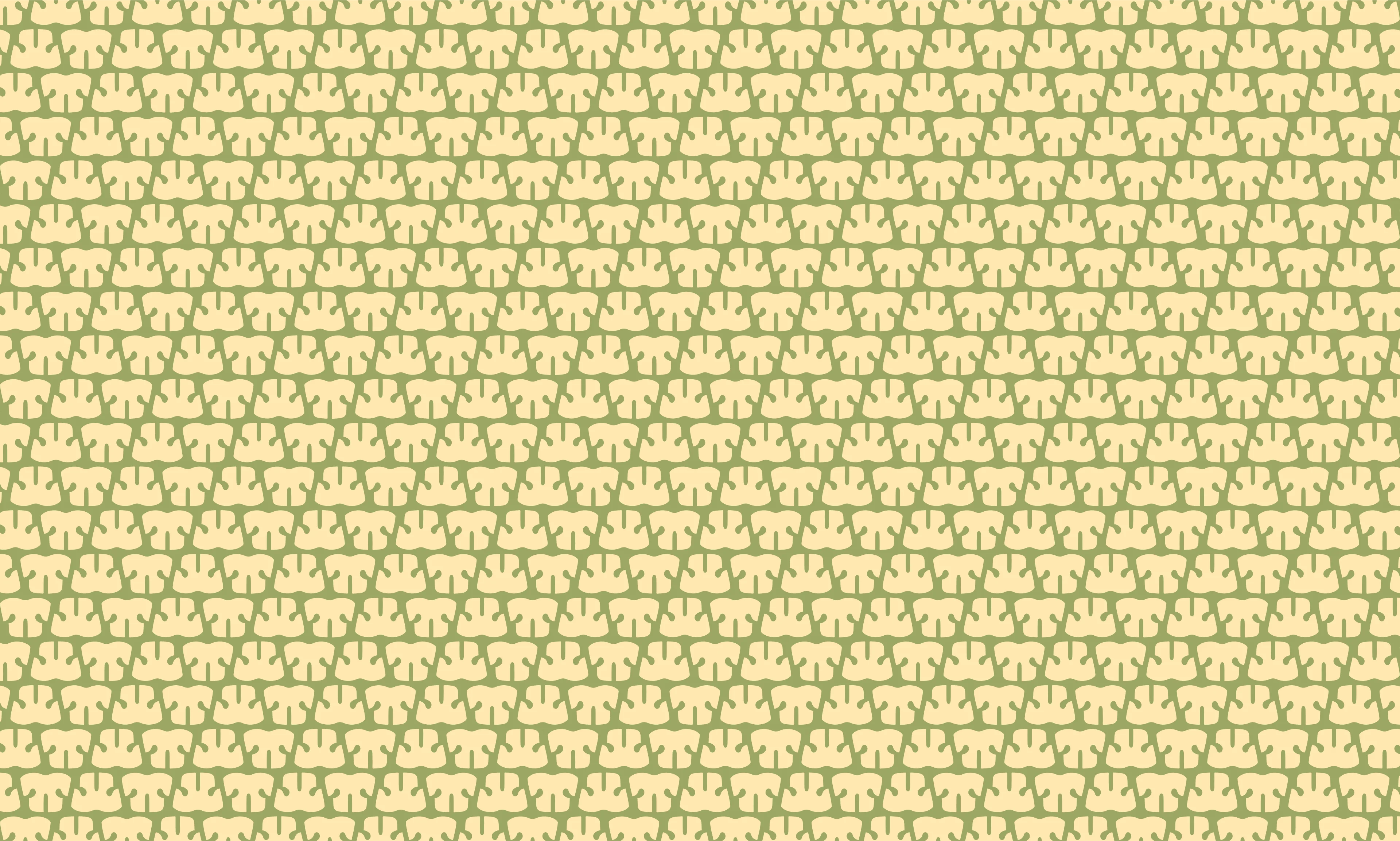 naso_3.webp
