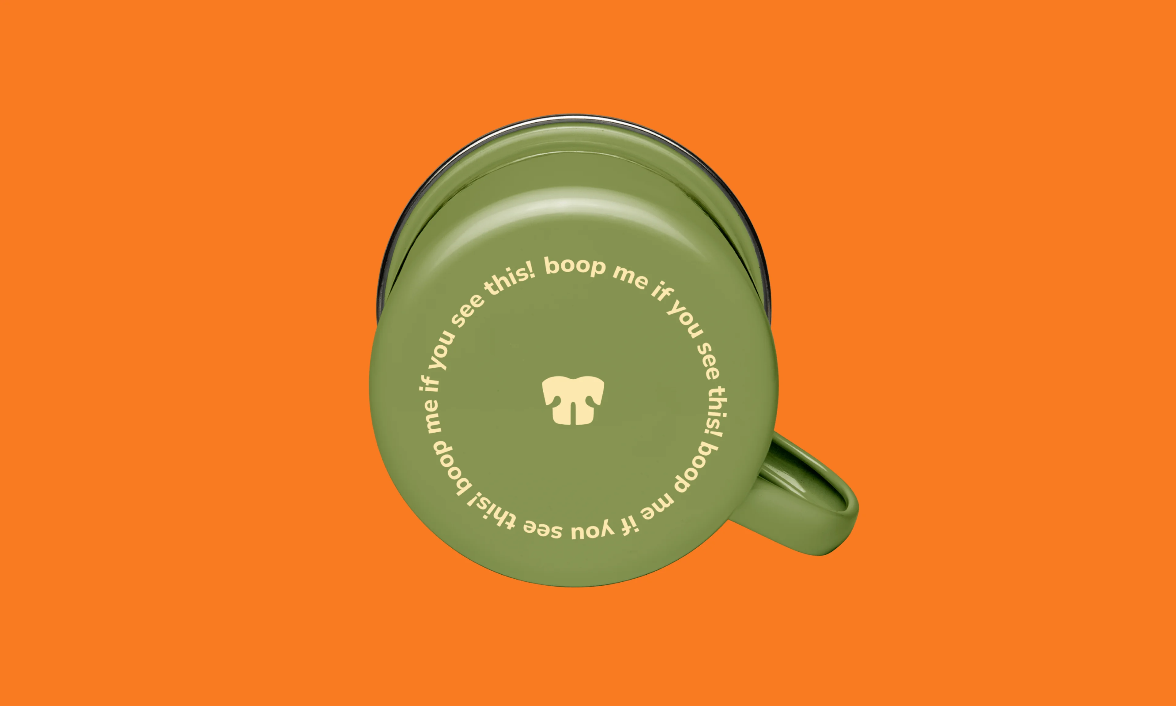 naso_5.webp